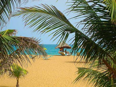 L'hôtel Awalé Plage (Grand Popo - Bénin) - Plage et Bar de Plage