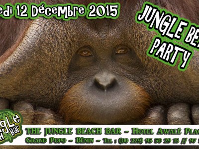 L'hôtel Awalé Plage (Grand Popo - Bénin) - Beach party