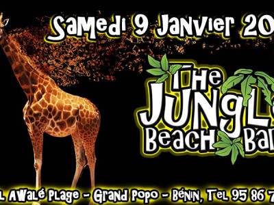 L'hôtel Awalé Plage (Grand Popo - Bénin) - Beach party