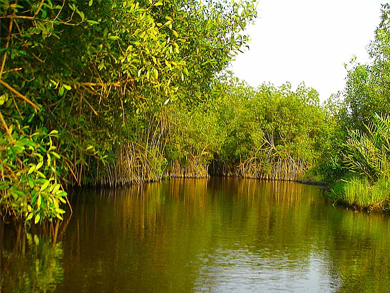 L'hôtel Awalé Plage (Grand Popo - Bénin) - Circuits Bouches du Roi