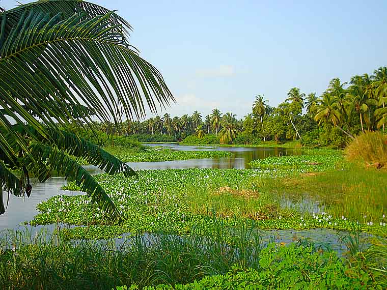L'hôtel Awalé Plage (Grand Popo - Bénin) - Circuits Bouches du Roi