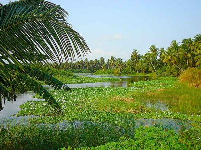 L'hôtel Awalé Plage (Grand Popo - Bénin) - Circuit Bouches du Roi