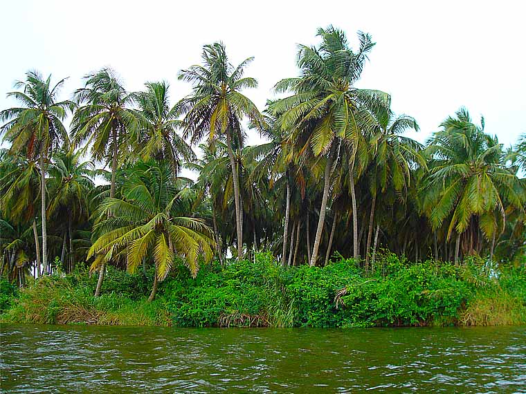 L'hôtel Awalé Plage (Grand Popo - Bénin) - Circuits Bouches du Roi