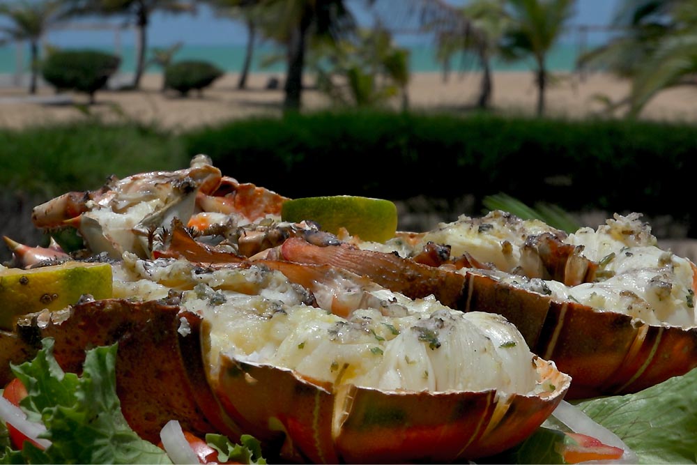 L'hôtel Awalé Plage (Grand Popo - Bénin) - Restaurant